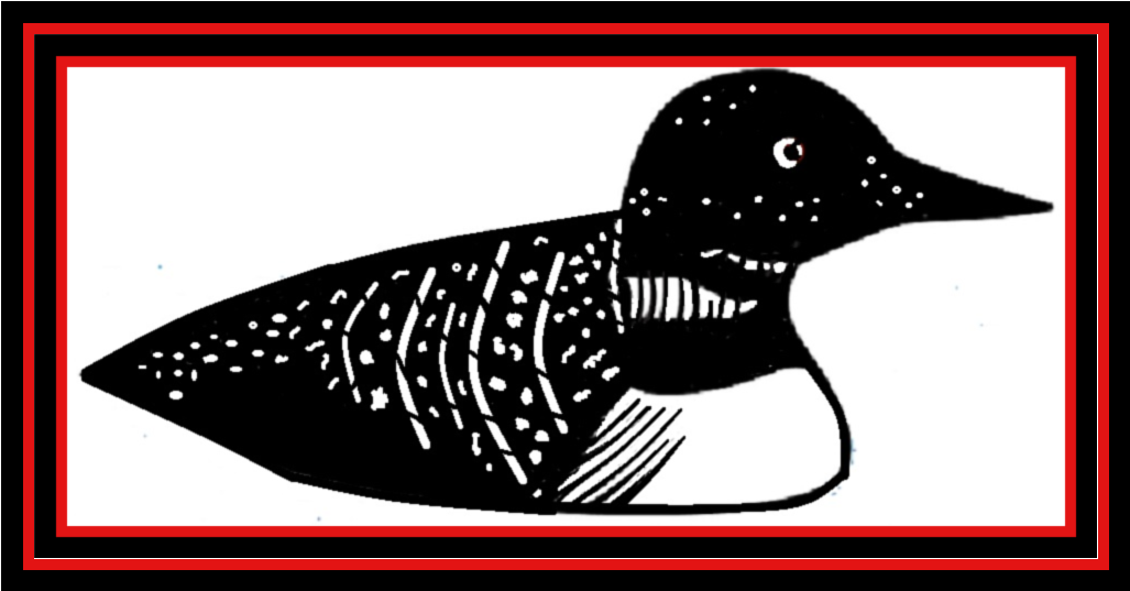 a black and white drawing of a duck with a red border
