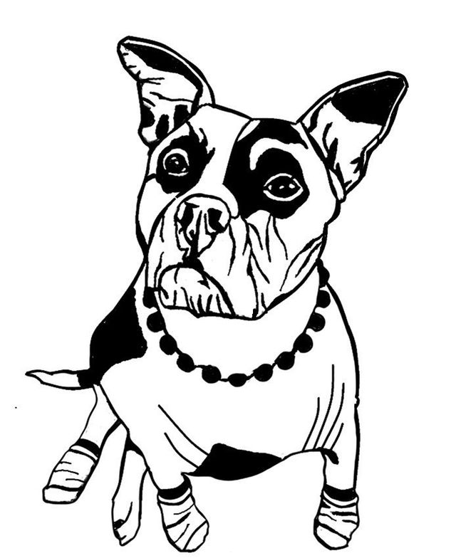 Silhouette of an octopus, fish, and crabs in an underwater scene, framed in blue and orange.