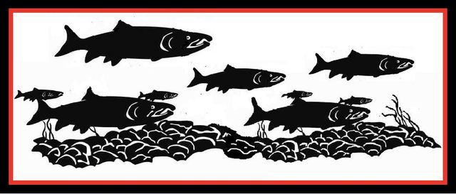 A black and white drawing of fish swimming in the water pin k school salmon