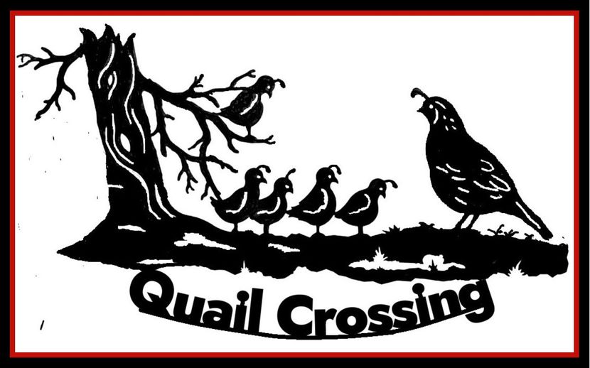 a black and white drawing of quail crossing