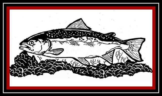 Chinook Salmon metal wall art for sale