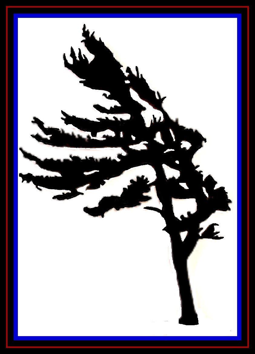 Sitka Tree Metal Art