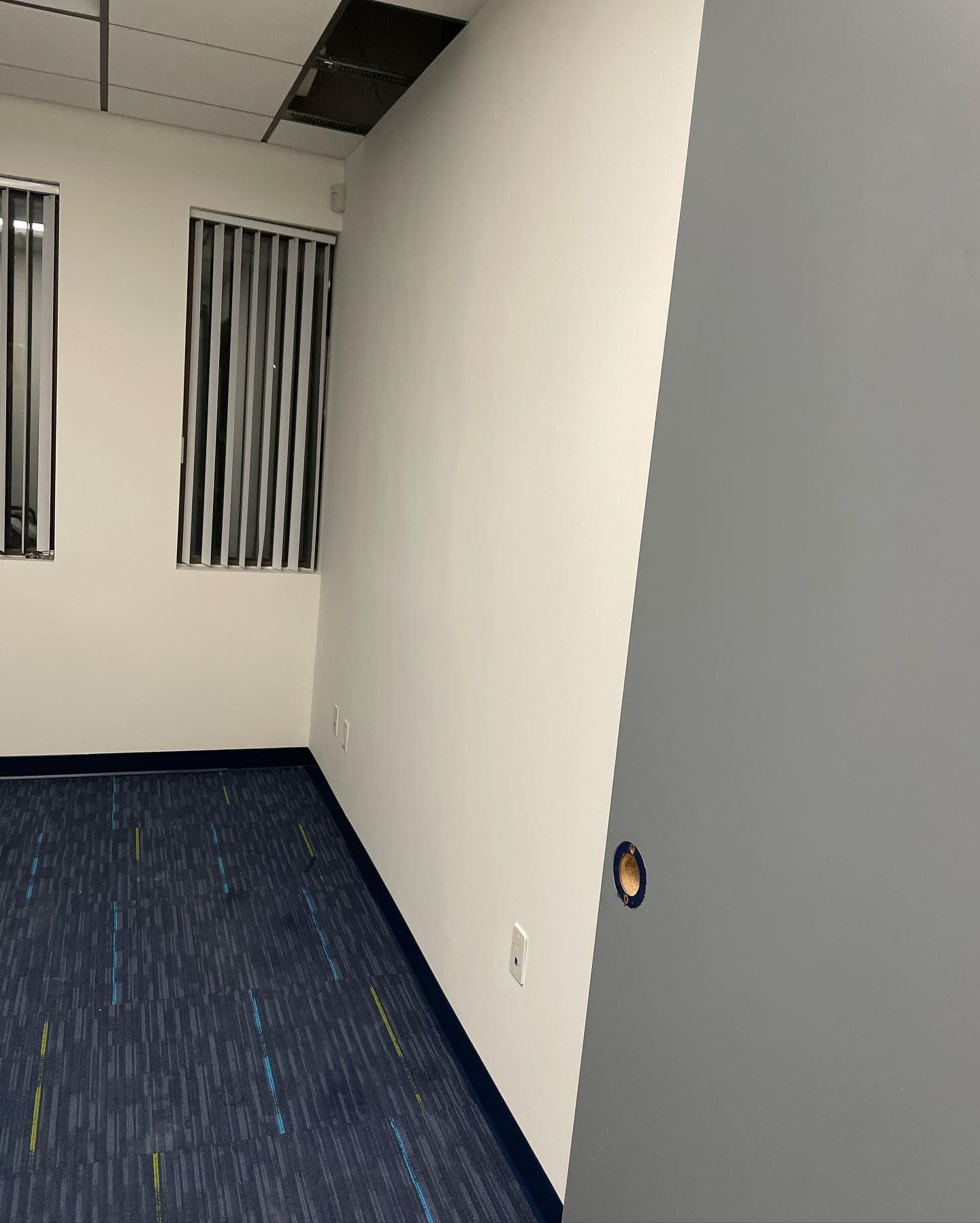 A room with a blue carpet and white walls