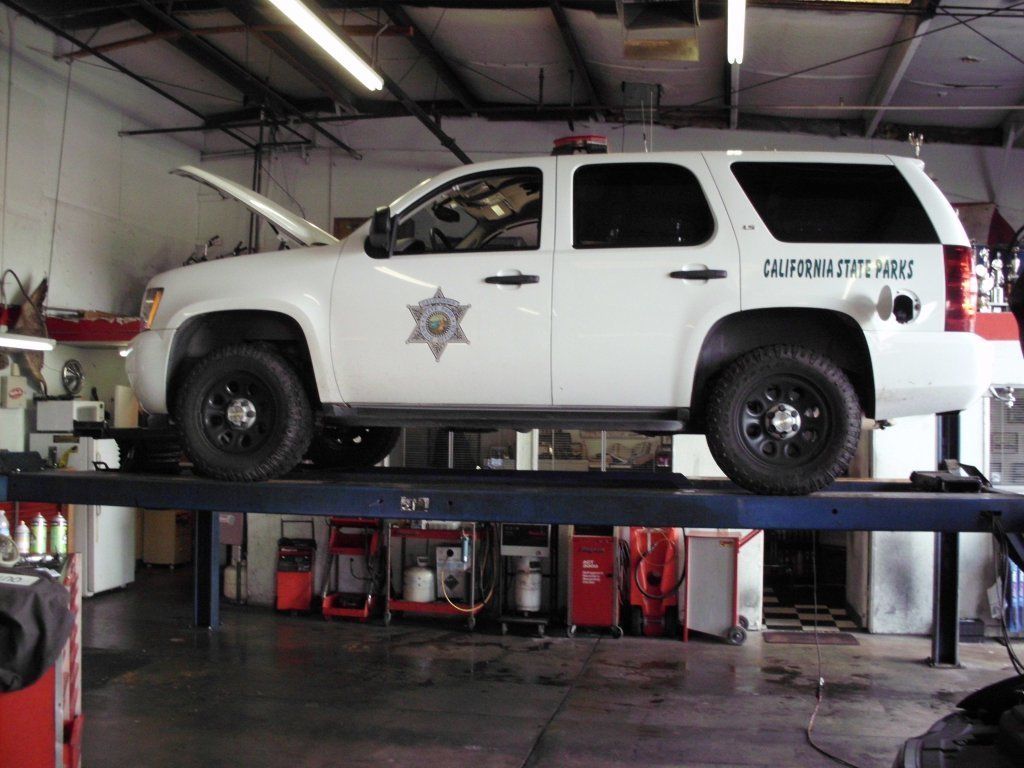 White Car on Lift — Orangevale, CA — Steve's Small Car Repair