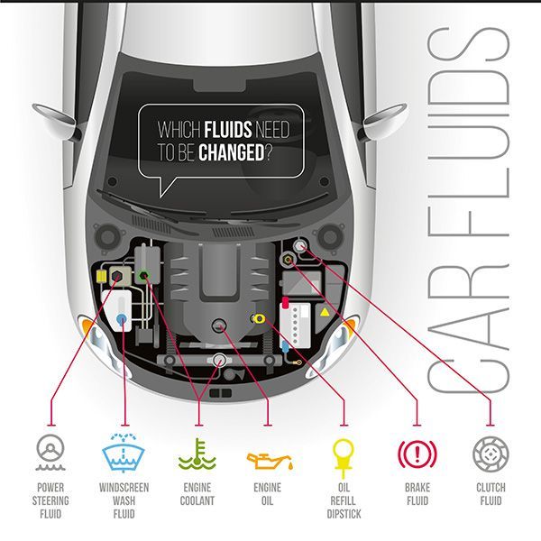 A diagram of which fluids need to be changed in a car. | Lex Brodies
