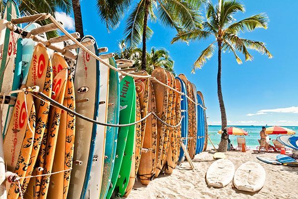A bunch of surfboards hanging on a rope on a beach | Lex Brodies 