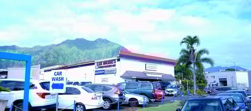 Kailua Shop | Lex Brodies
