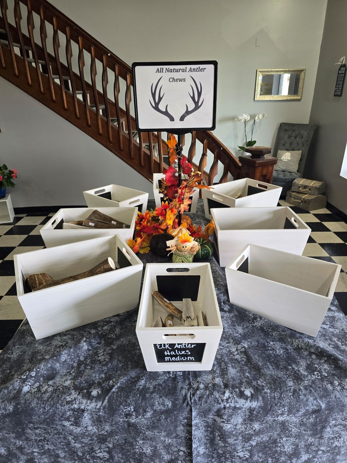 A cat is laying on a grooming table with scissors.