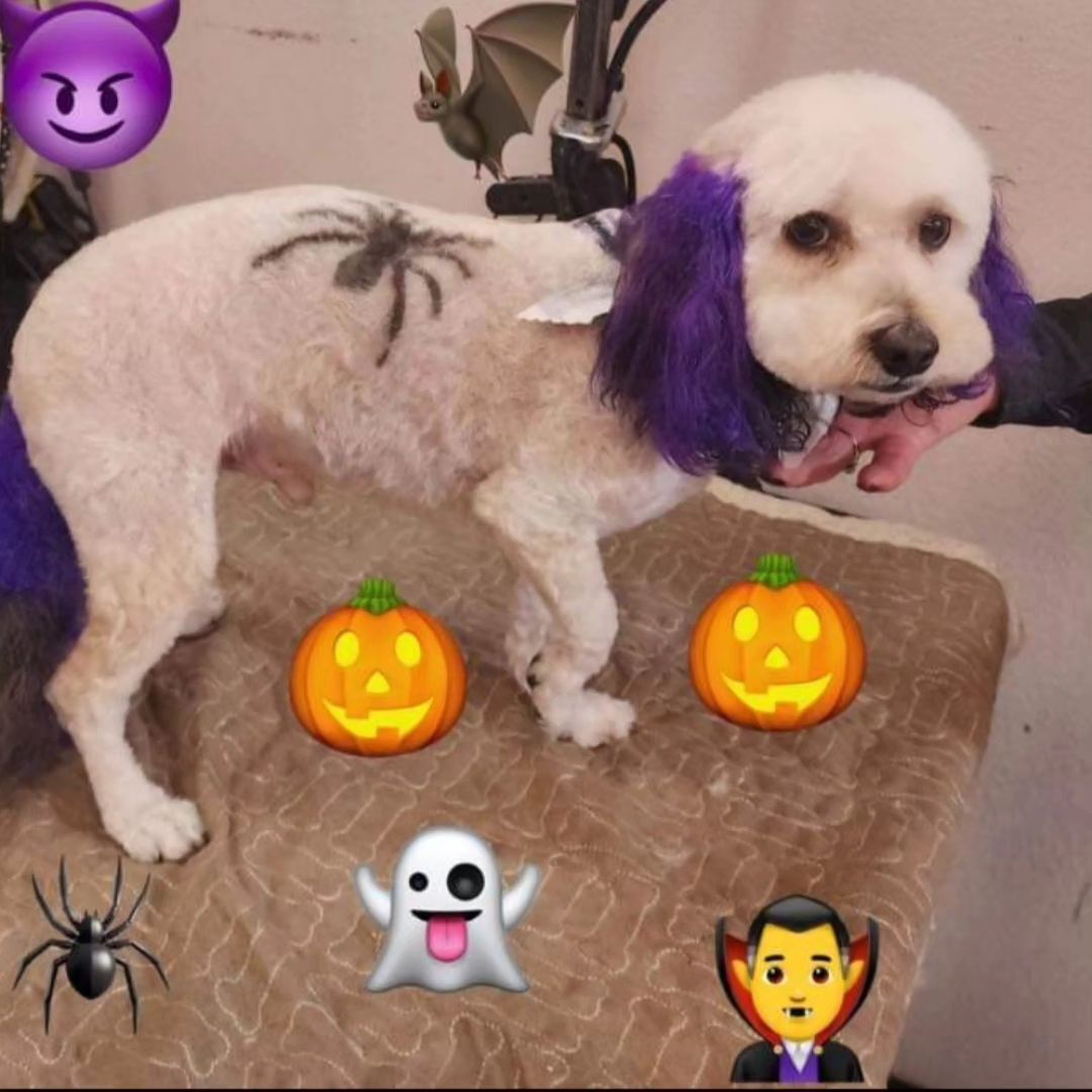 A dog with purple hair is surrounded by halloween icons