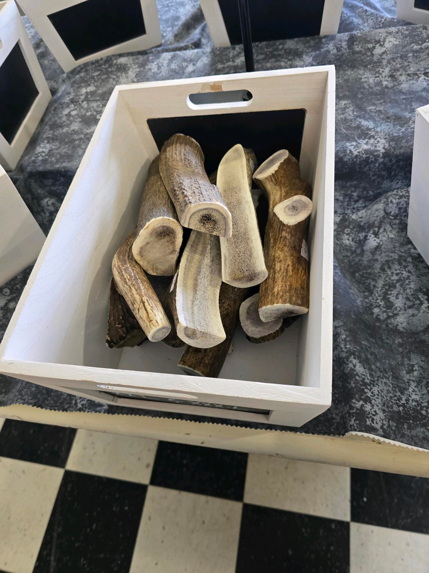 A cat is laying on a grooming table with scissors.