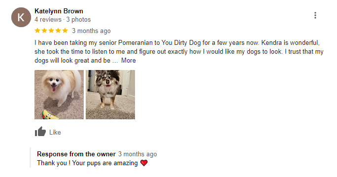 A review of a pomeranian dog on a google review page.