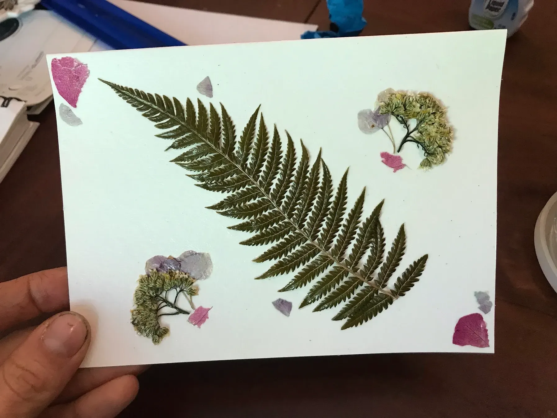 A group of people are walking through a lush green forest.