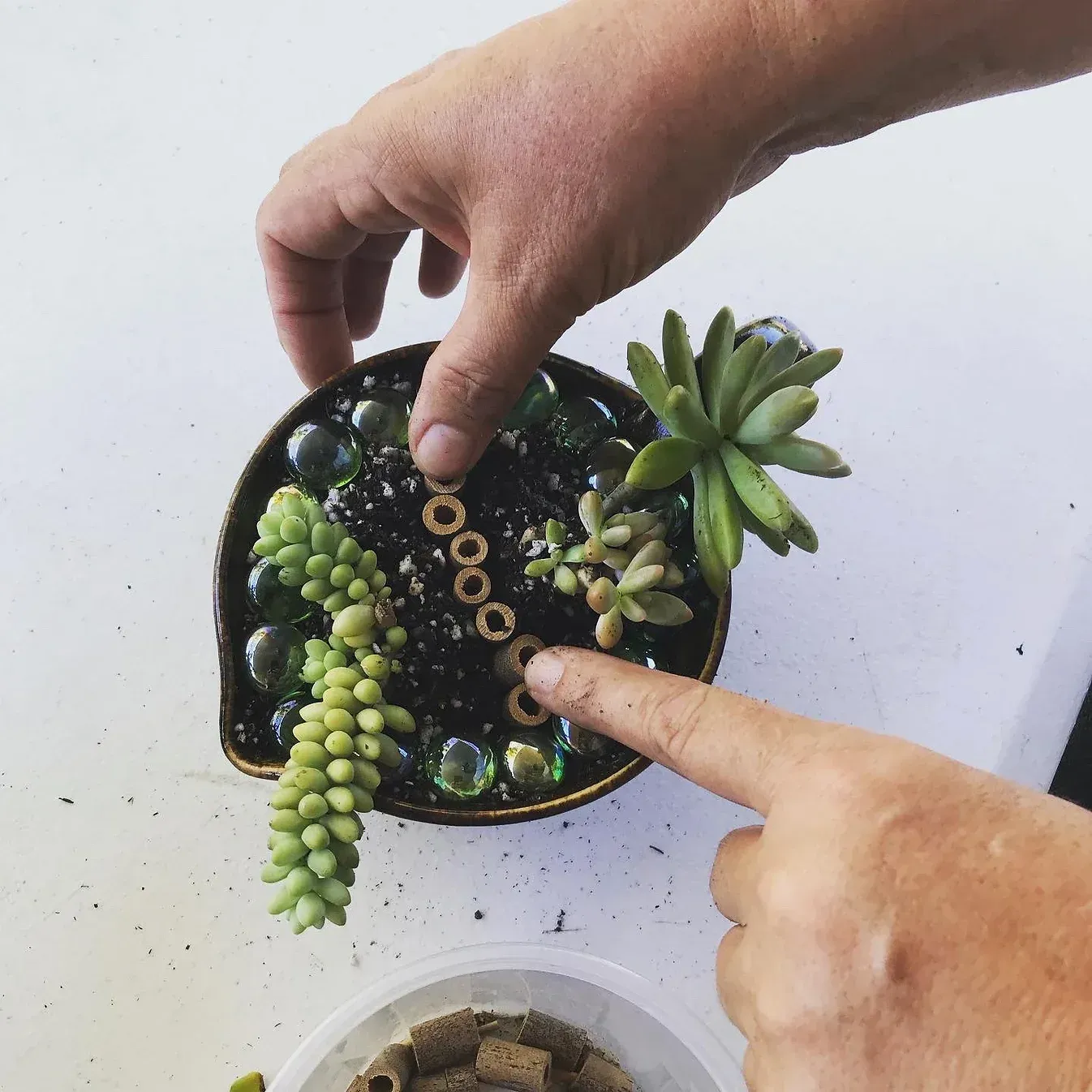 A group of tea bags sitting on top of a wooden table.
