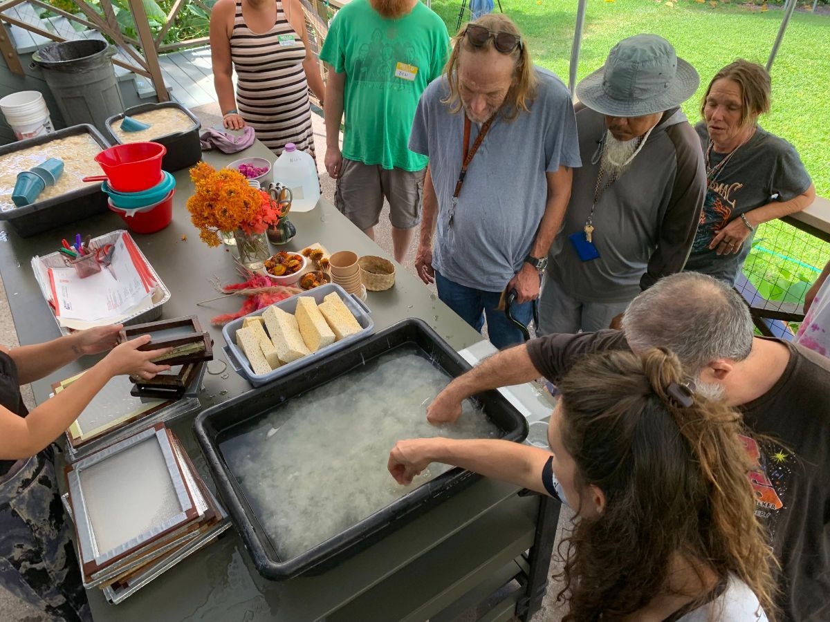 A bunch of potted plants are sitting on top of a tray.