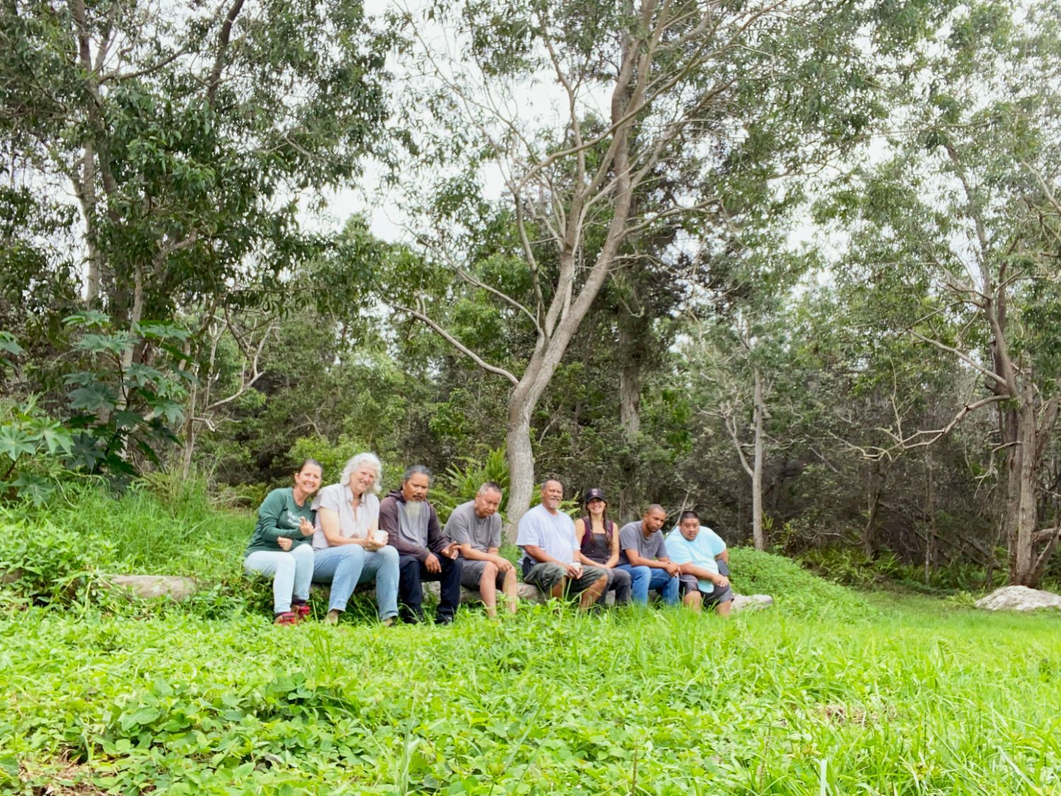 A group of people are sitting on a grassy hill in the woods.