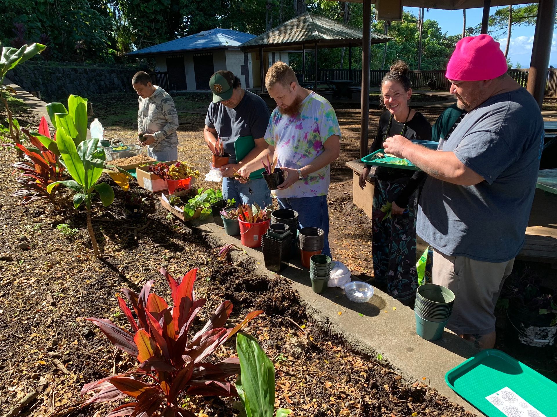 A group of people are sitting on a grassy hill in the woods.