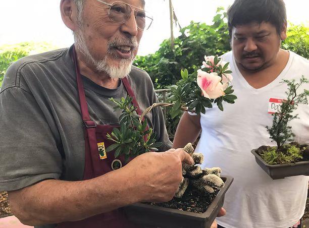 A group of people are walking through a lush green forest.