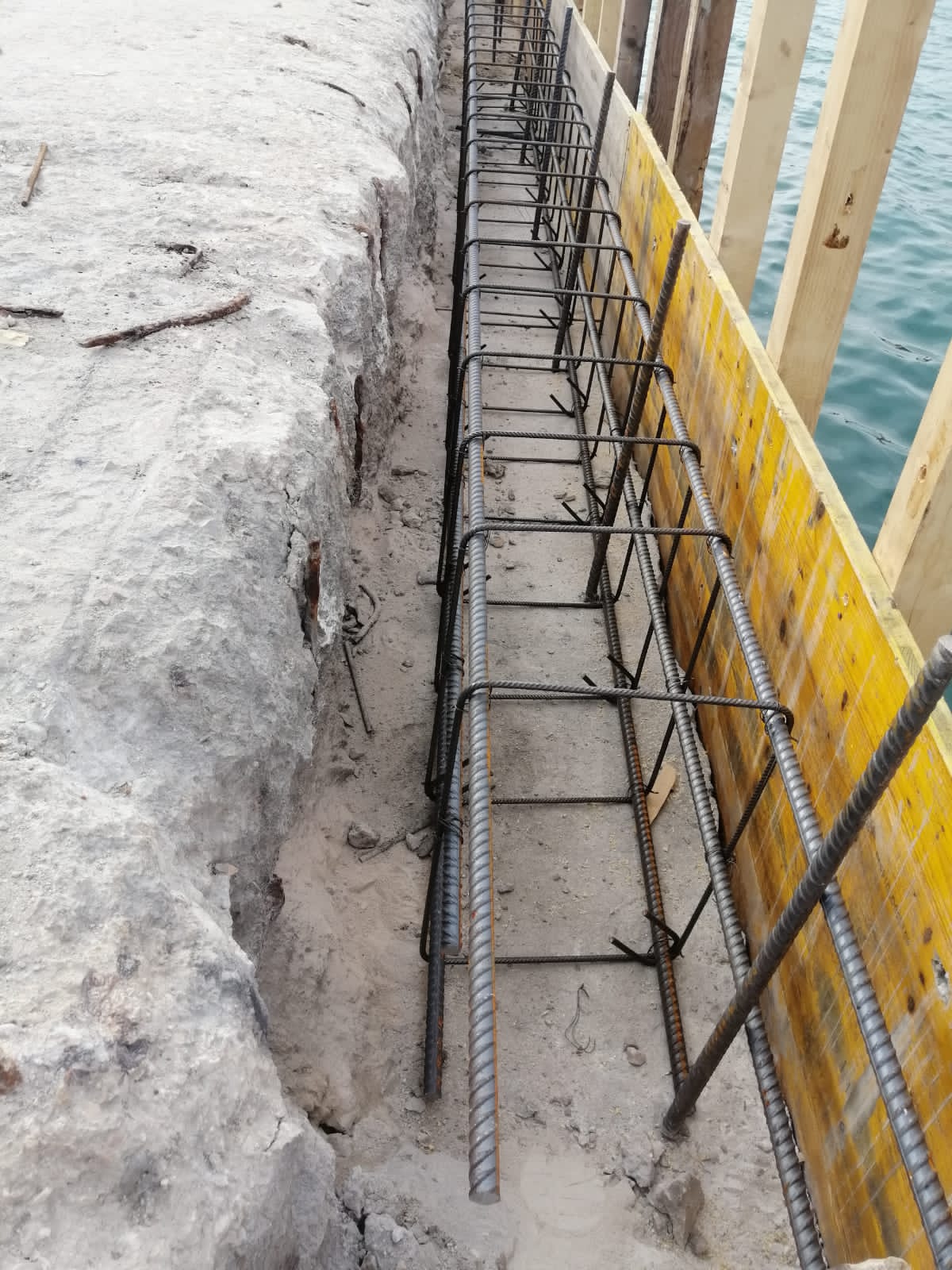 Autorità Portuale 8