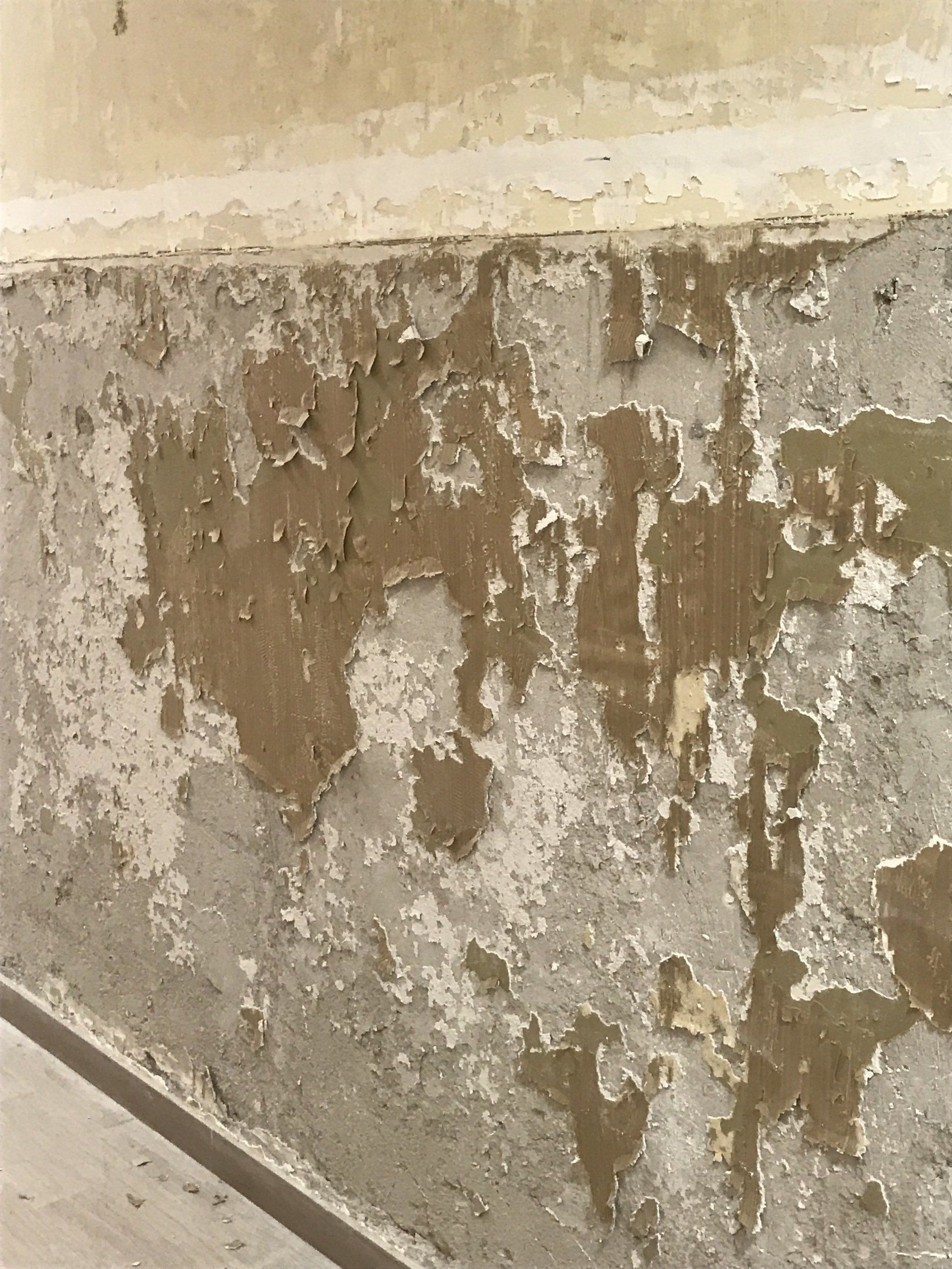 Azienda del Damanio 2