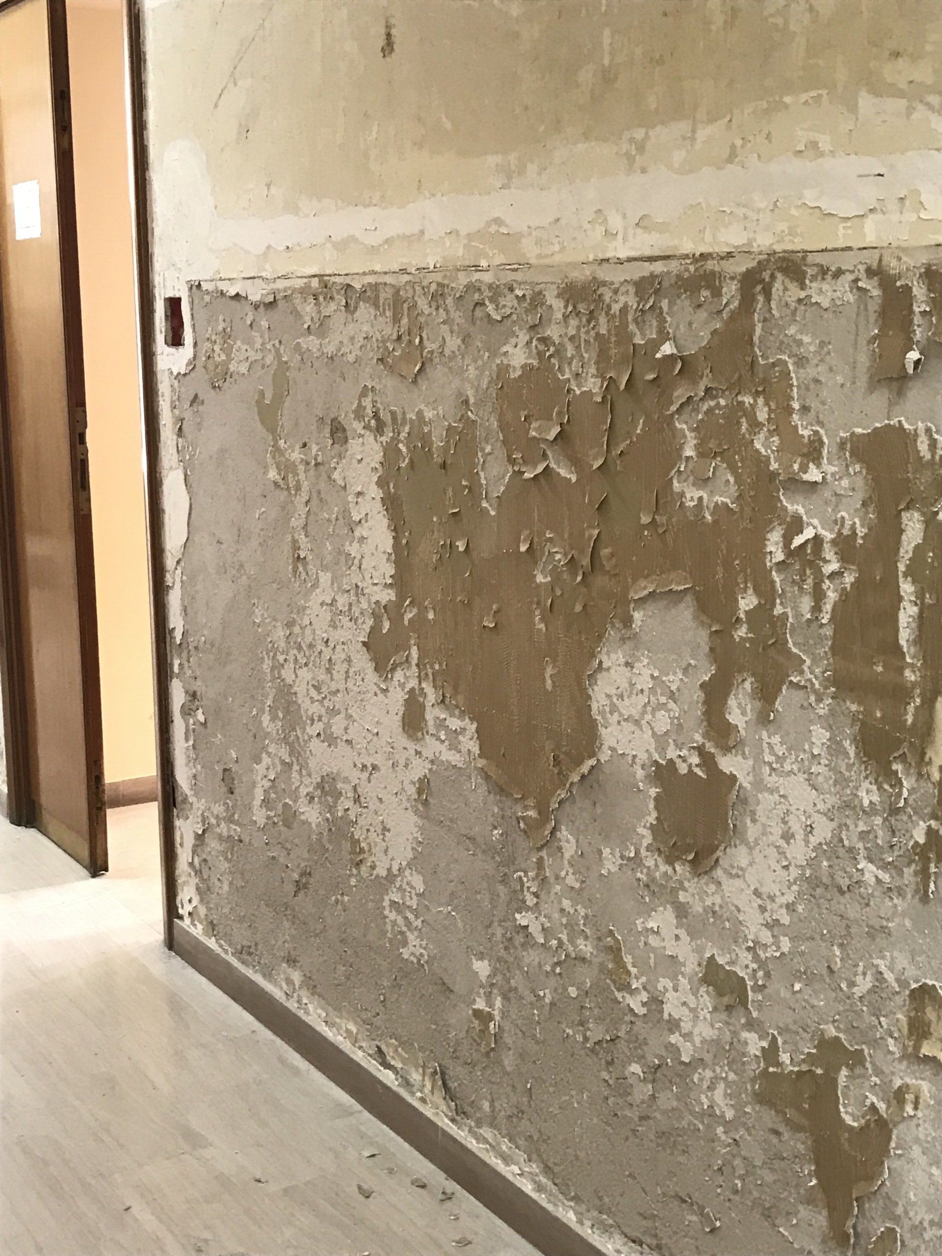 Azienda del Damanio 1