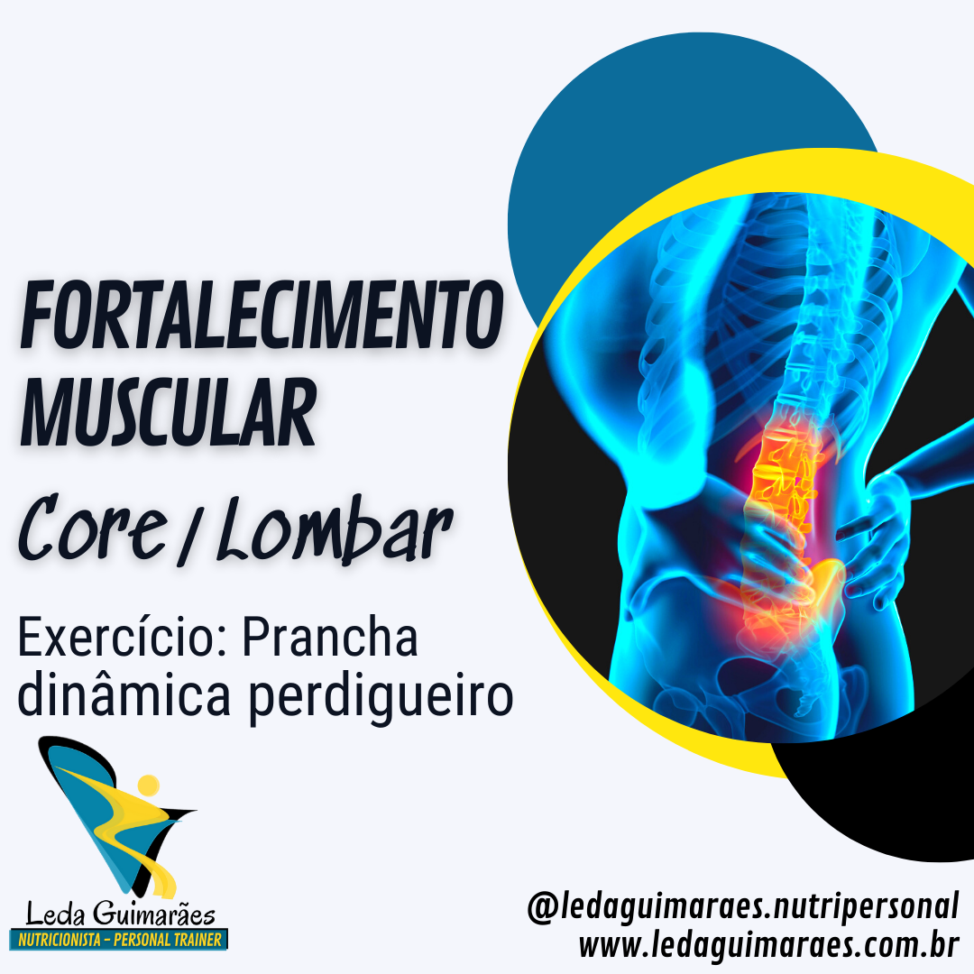 FORTALECIMENTO MUSCULAR DE CORE/LOMBAR: Exercício Prancha Dinâmica ...