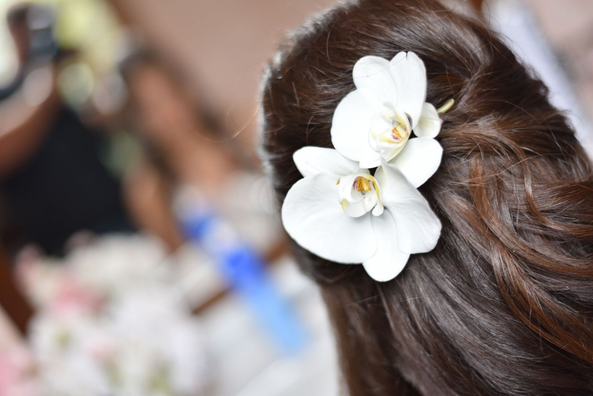 foto delle acconciature per cerimonie