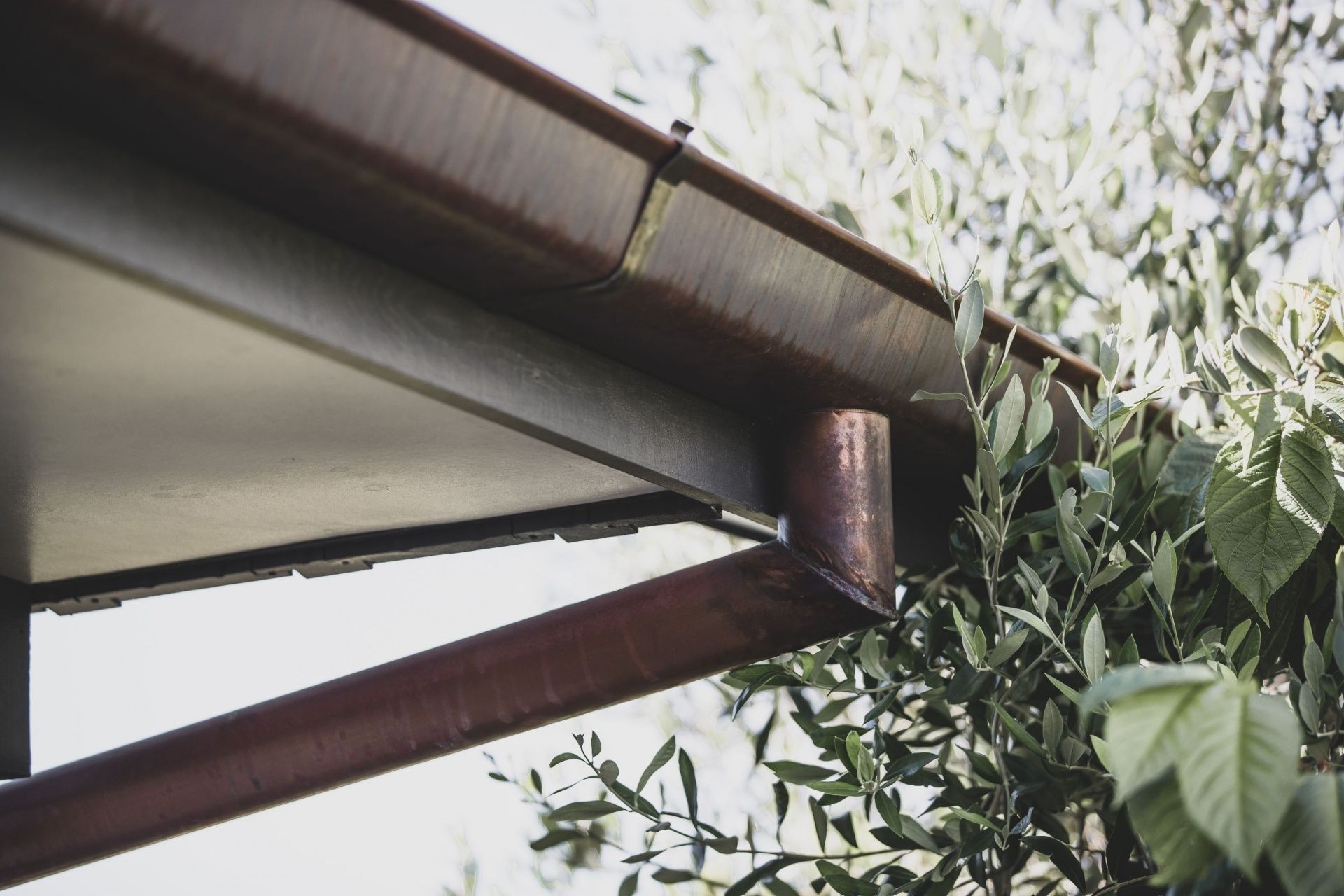 Close-Up Of A Metal Roof — Onehunga, Auckland — Ace Spouting & Fascia