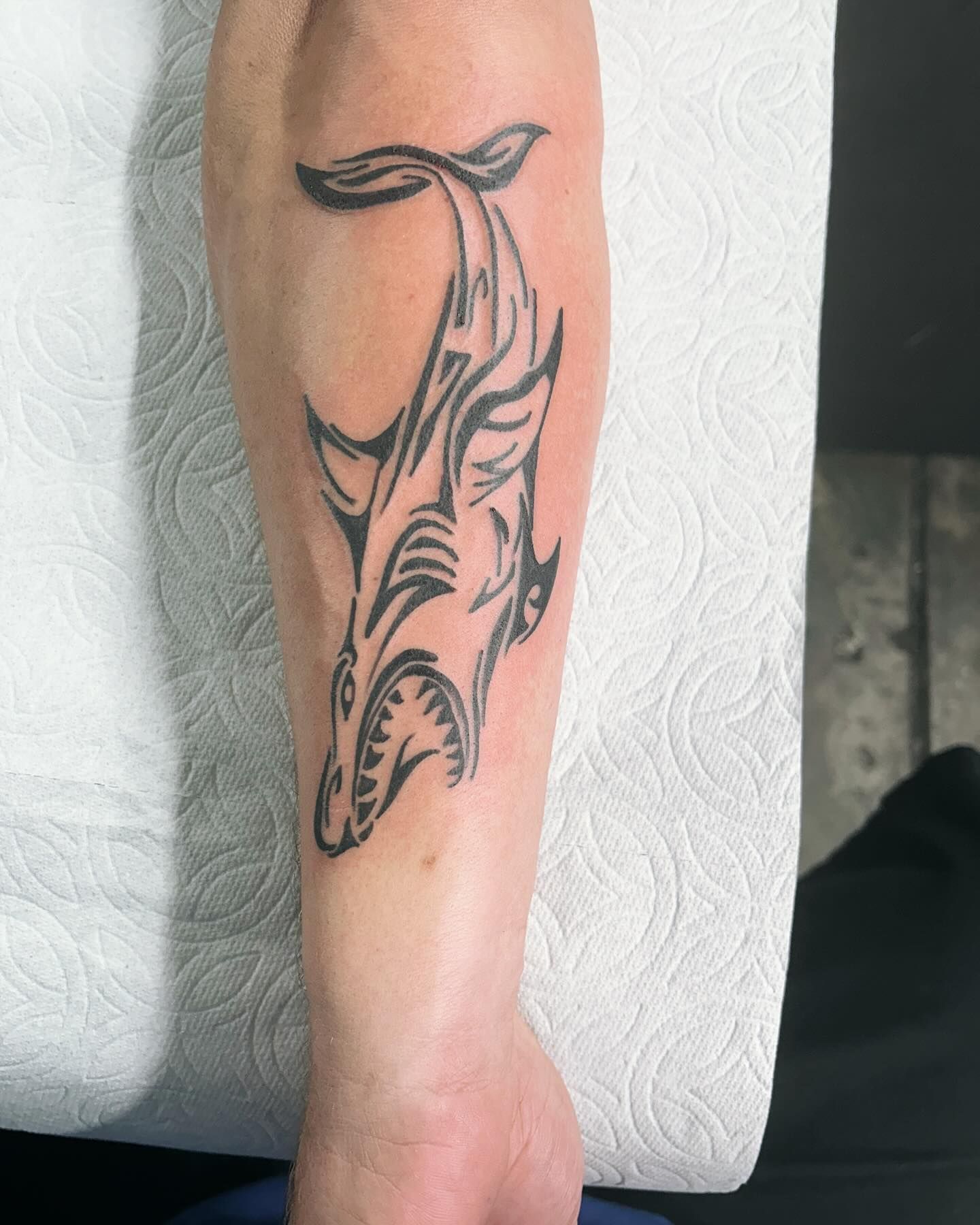 A man has a tattoo of a shark on his forearm