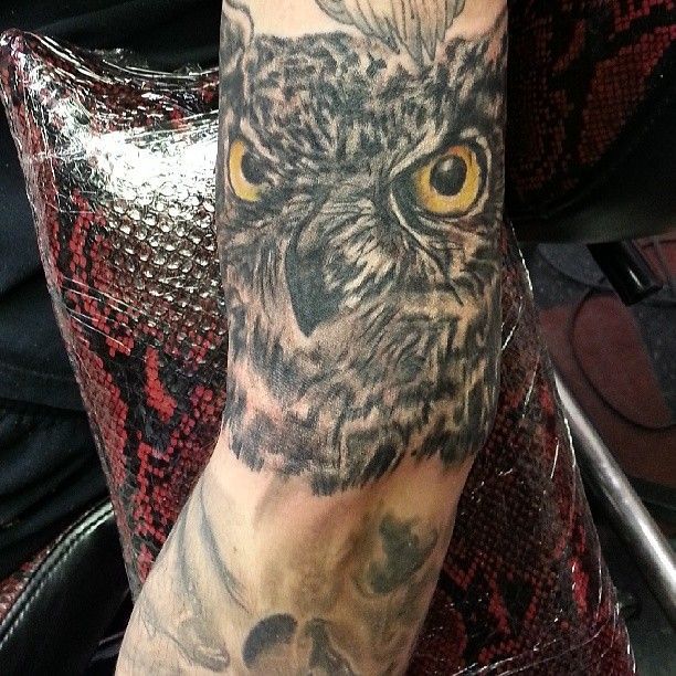 A person has a tattoo of an owl on their arm