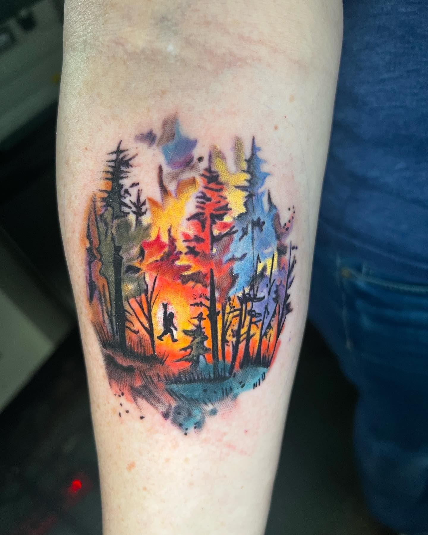 A person has a tattoo of a sunset in the woods on their forearm