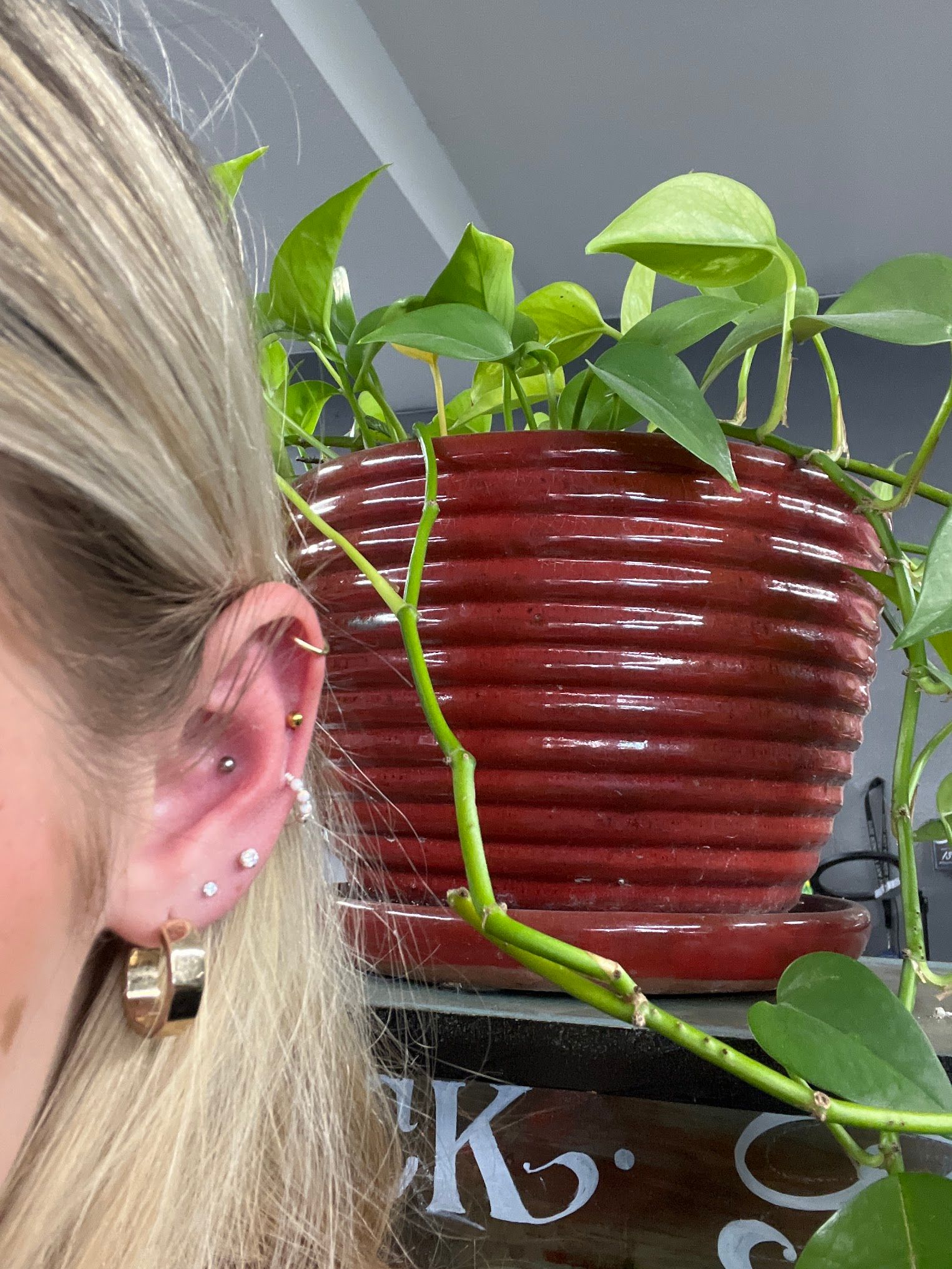 A close up of a woman 's ear with a plant in the background.