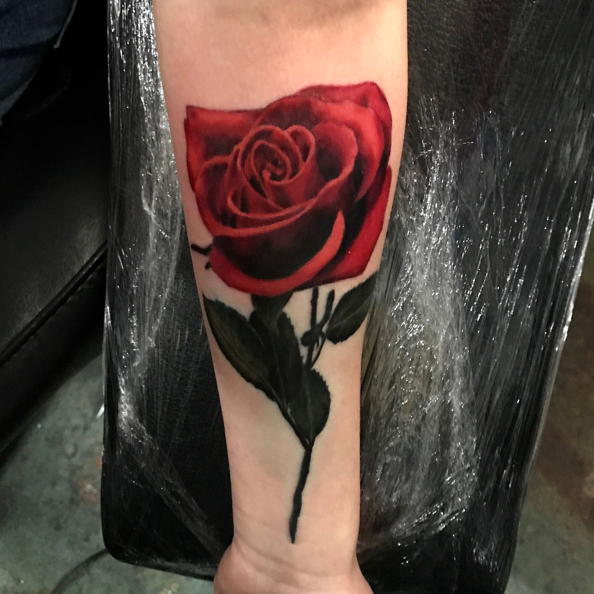 A woman has a tattoo of a red rose on her forearm