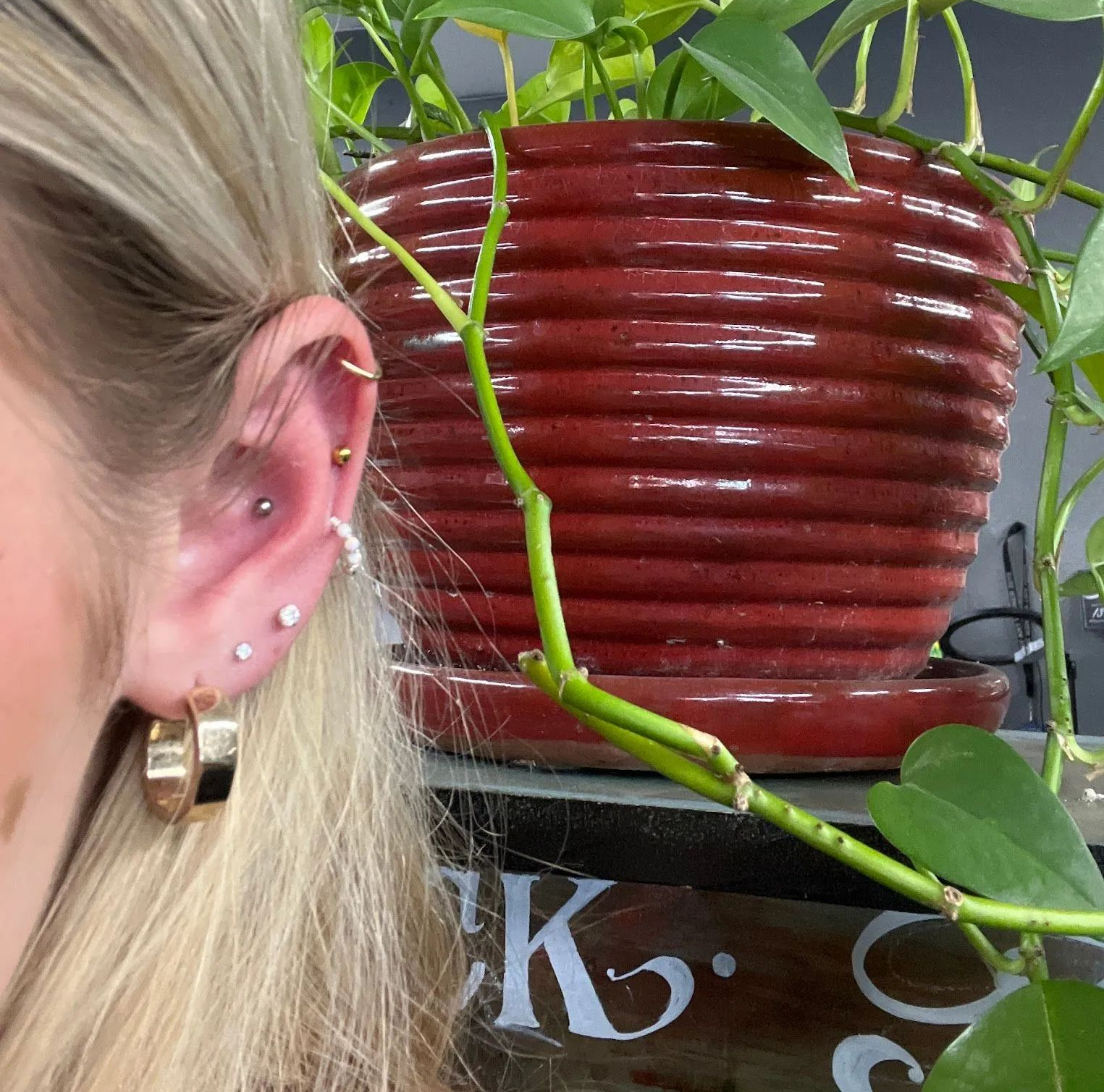 A person's ear with multiple piercings, gold hoop earring, next to a red plant pot with a climbing vine.