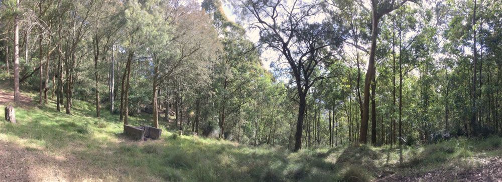 A Panoramic View Of A Forest With Trees And Grass On A Hillside — Smith Aluminium In Wallsend, NSW