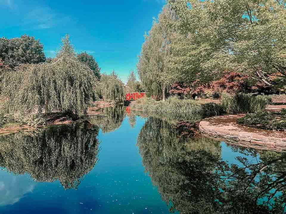 A River Surrounded By Trees And A Bridge — Smith Aluminium In Mayfield, NSW