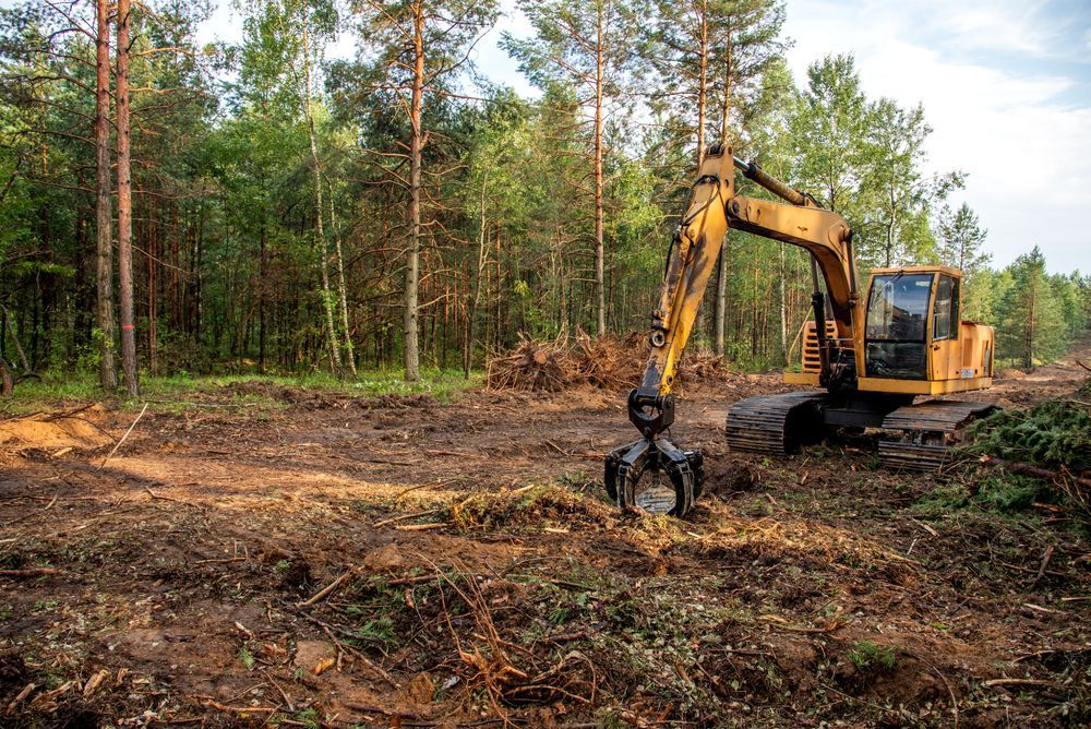 A Yellow Excavator Clears Debris in a Forest — GPE Plumbers In Kendall, NSW