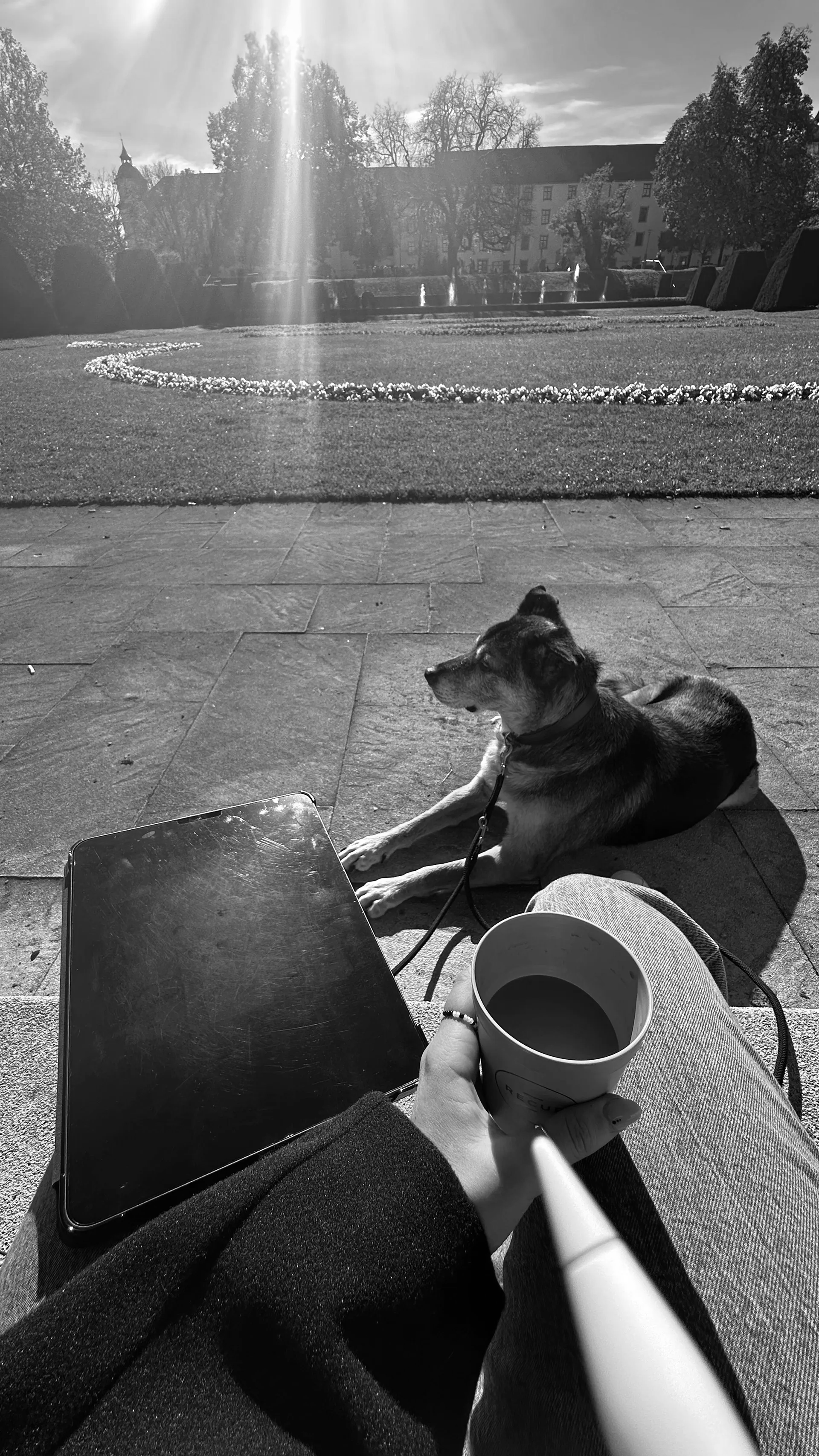 Hund und Sabrina ruhen sich mit einer Kaffeetasse in einem sonnigen Park aus. iPad am unteren Bildrand zu sehen.