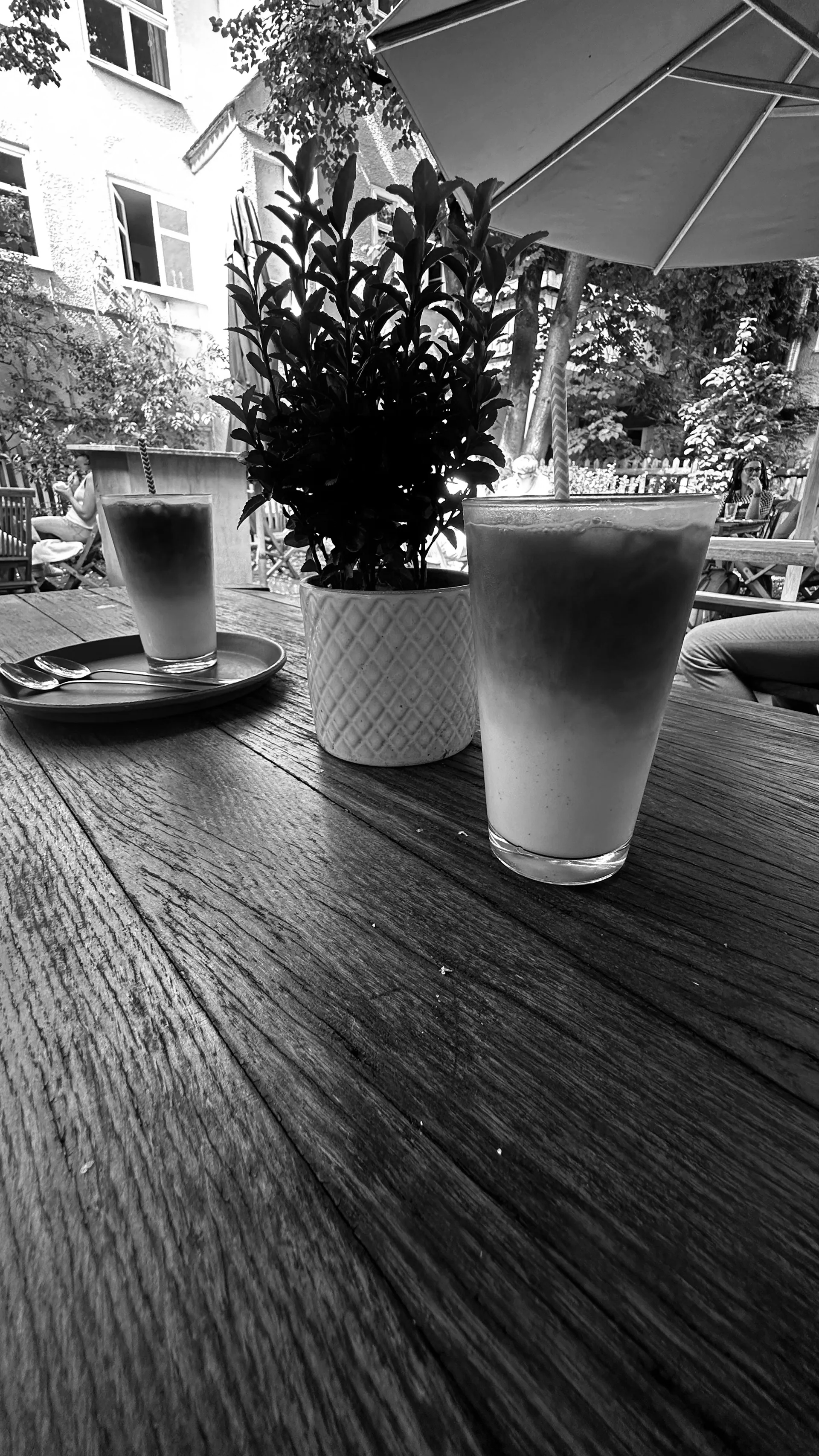 Eiskaffeegetränke auf einem Holztisch mit einer kleinen Pflanze in einem gemusterten Topf. Café-Atmosphäre im Freien.