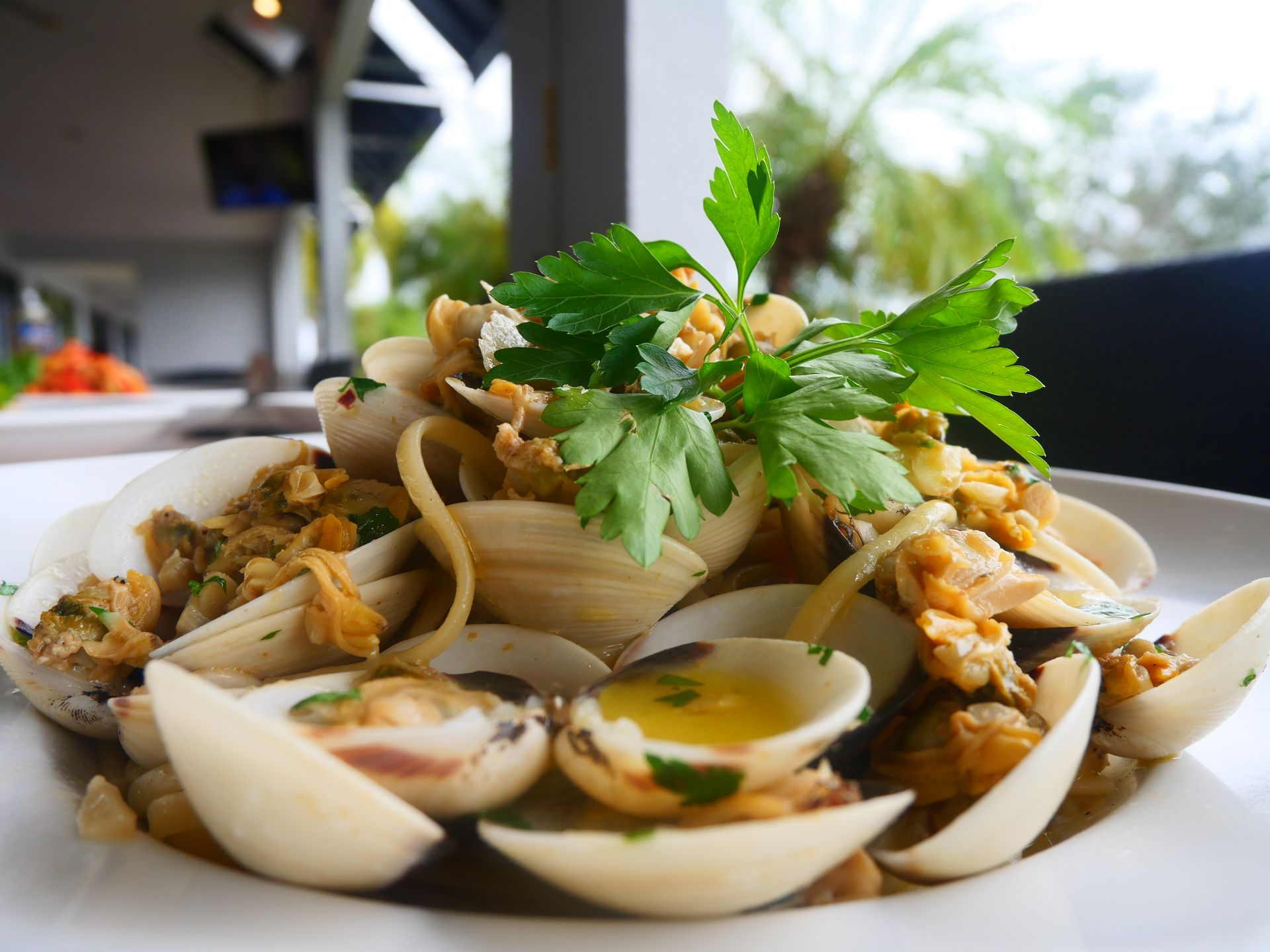 Calms and Linguini  at New York Pizza and Pasta in Naples Fl