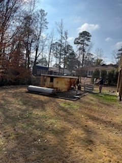 Backyard with a small shed, fallen log, and bare trees on a sunny day