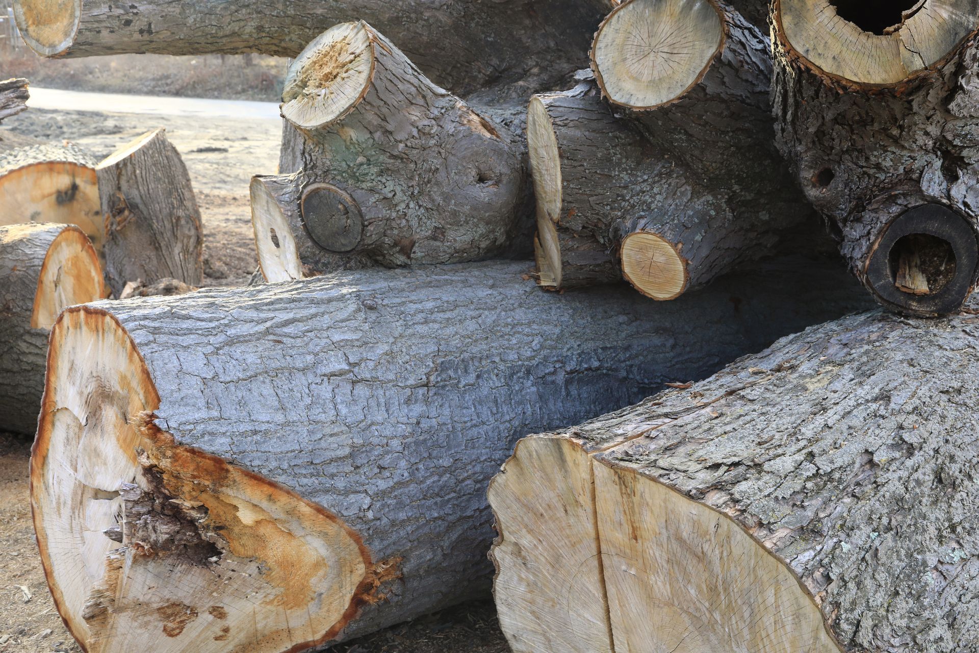 Tree Logs — Muncie, IN — Hicks & Watters Tree Service