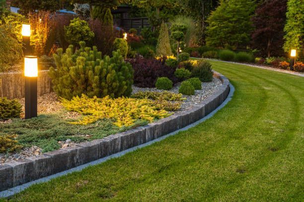 A curved garden bed with shrubs and small trees, bordered by stone edging, alongside a mown lawn with lit path lights.