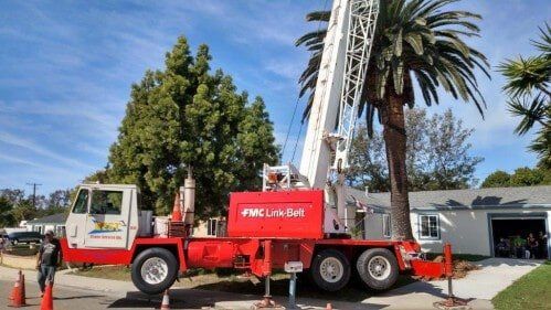 Cutting Tree Using Crane — Crane Service in San Diego, CA