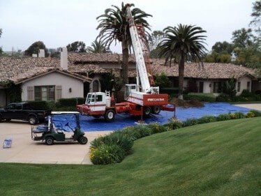 Crane and Tree — Crane Service in San Diego, CA