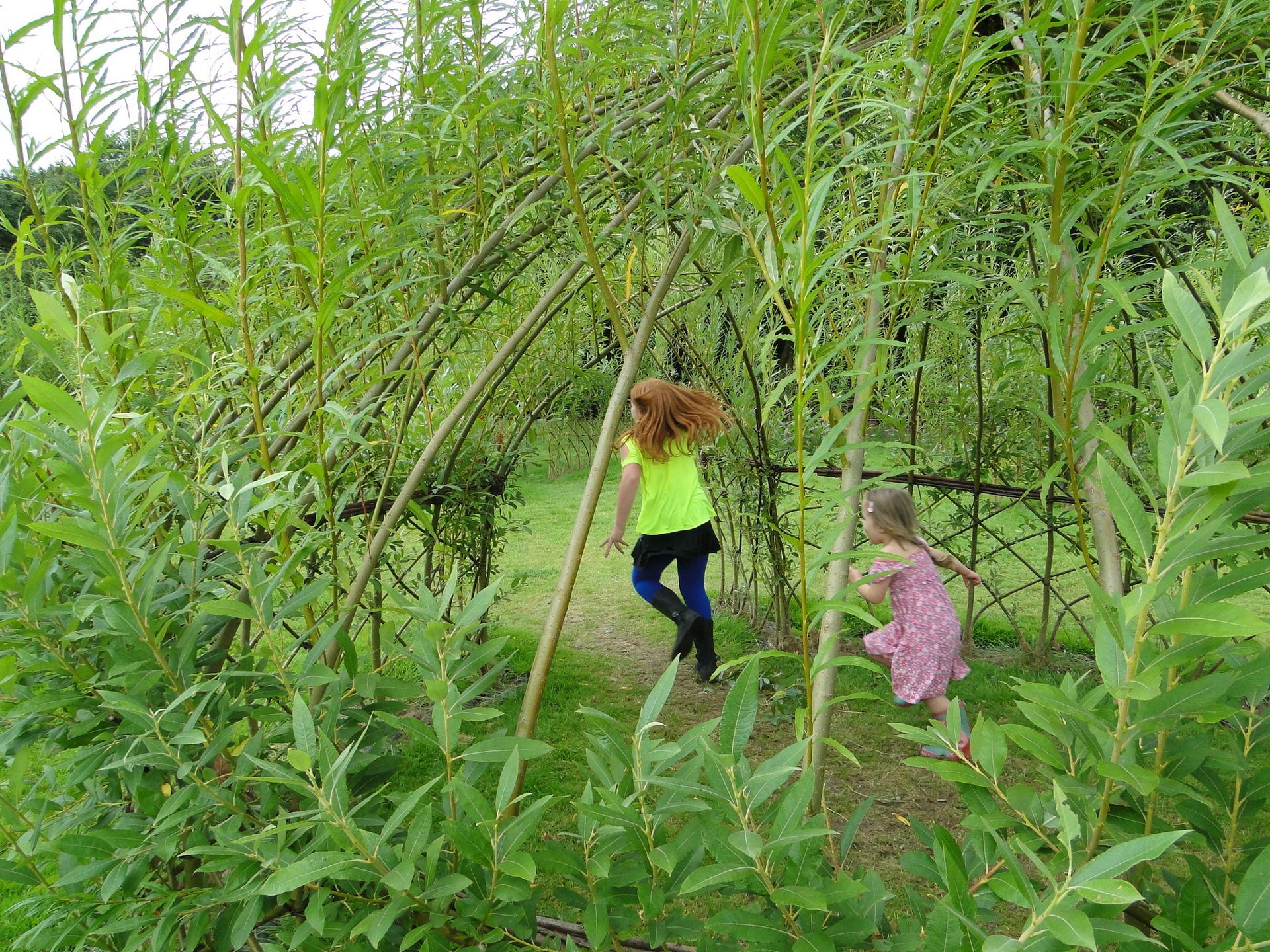 Two children running through a green willow tunnel.