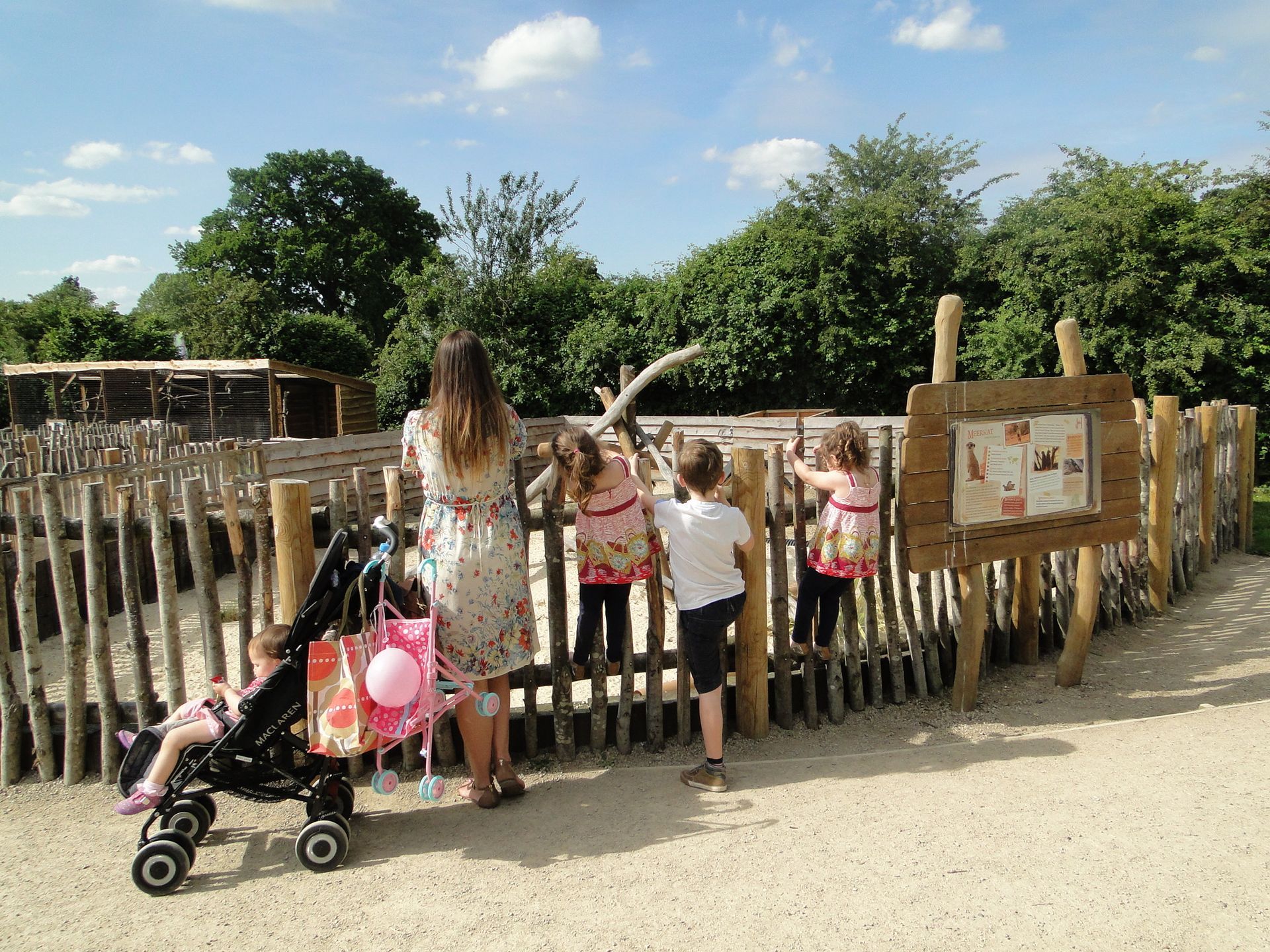 Family at a wooden fence looking at an enclosure. Children point. Stroller in foreground.