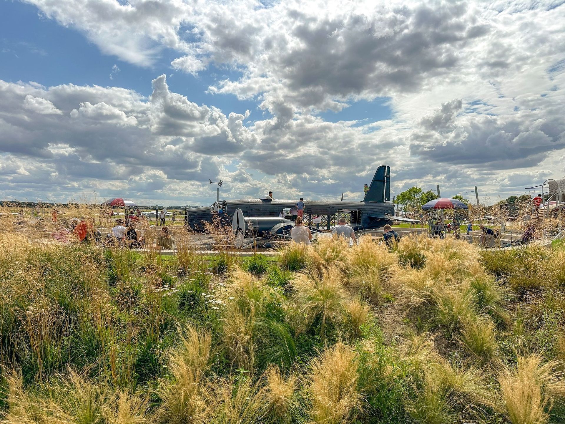 playful long grass at IWM Duxford .. move in the wind