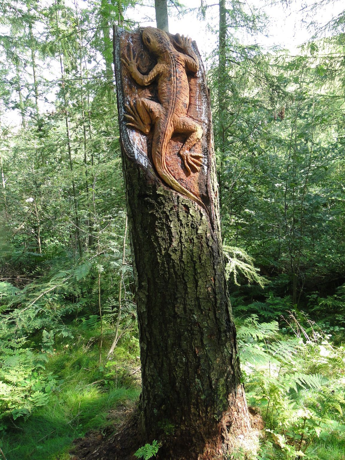 Carved wooden lizard on a tree trunk in a lush forest.