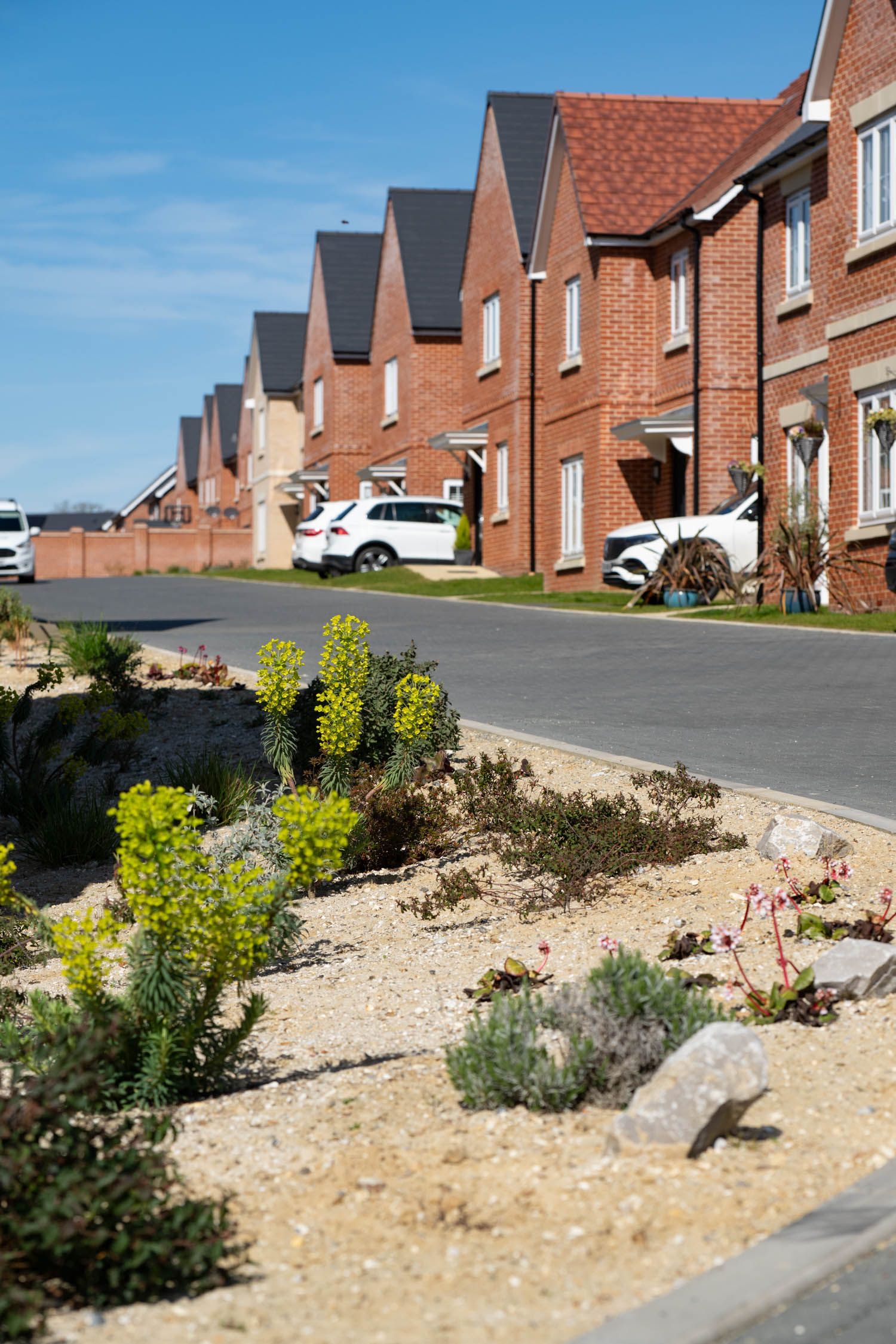 Row of brick houses with dark roofs, parked cars, and landscaping, under a blue sky.