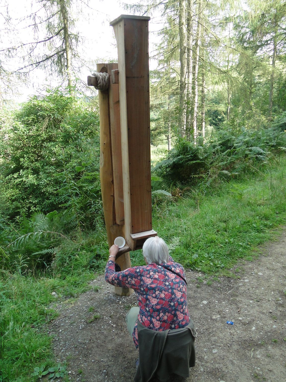 woodland periscope designed by Davies White lTd 
